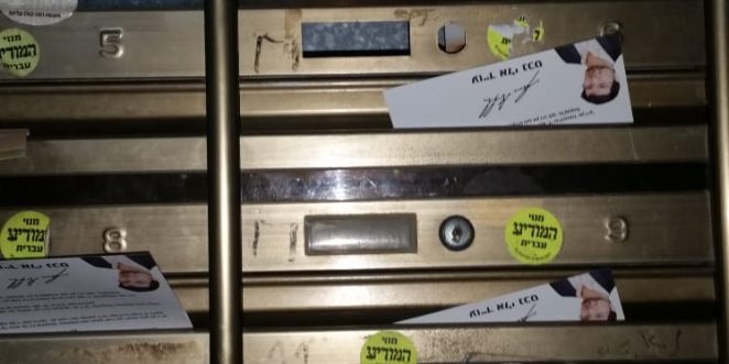 אלי נכט