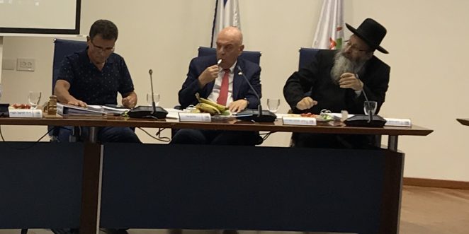 כצנלסון בן עדי מועצה וינגרטן