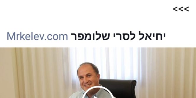 מר כלב