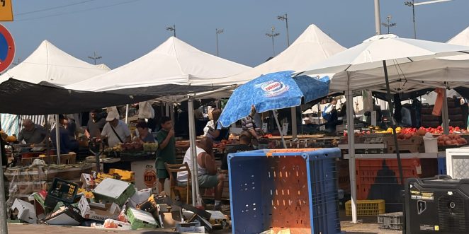 IMG_1382