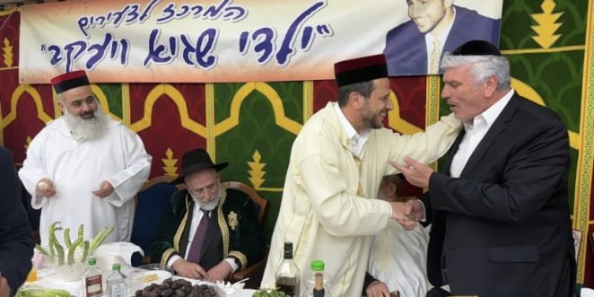 אמסלם אילן גוזל