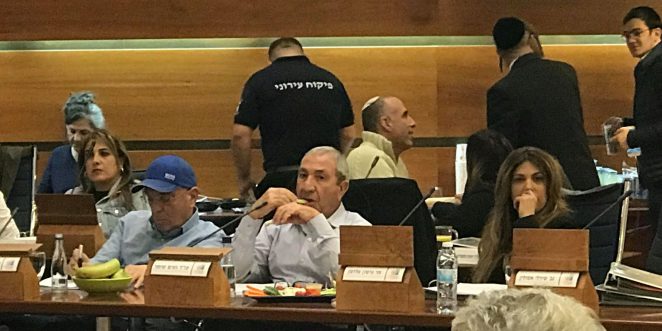 ישיבת מועצת3 העיר 3.1.18נעים שומר