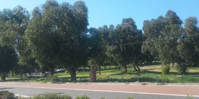 פארק בן גוריון תמונה מהפייס של לחמני